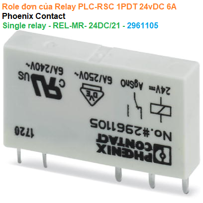 Role đơn của Relay PLC-RSC 1PDT 24vDC 6A - Phoenix Contact - Single relay - REL-MR- 24DC/21 - 2961105